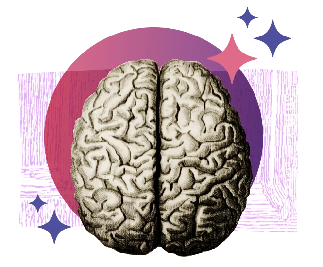 Sensemaking illustration: an engraved brain on a purple and magenta circle, with sparkles.